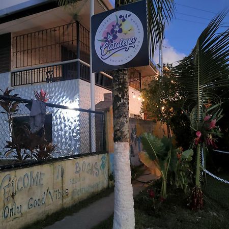 Cataleya Hostel Bocas del Toro Zewnętrze zdjęcie